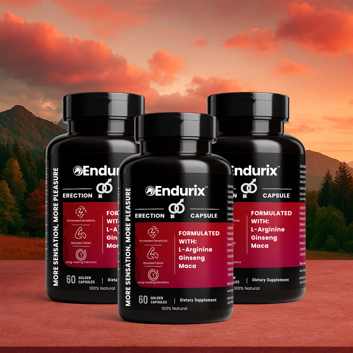 Endurix WW