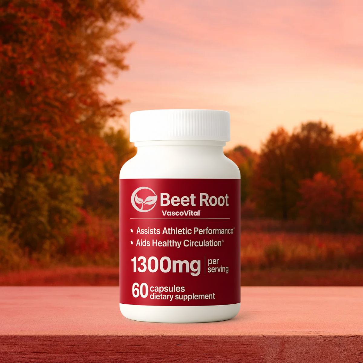 VascoVital WW