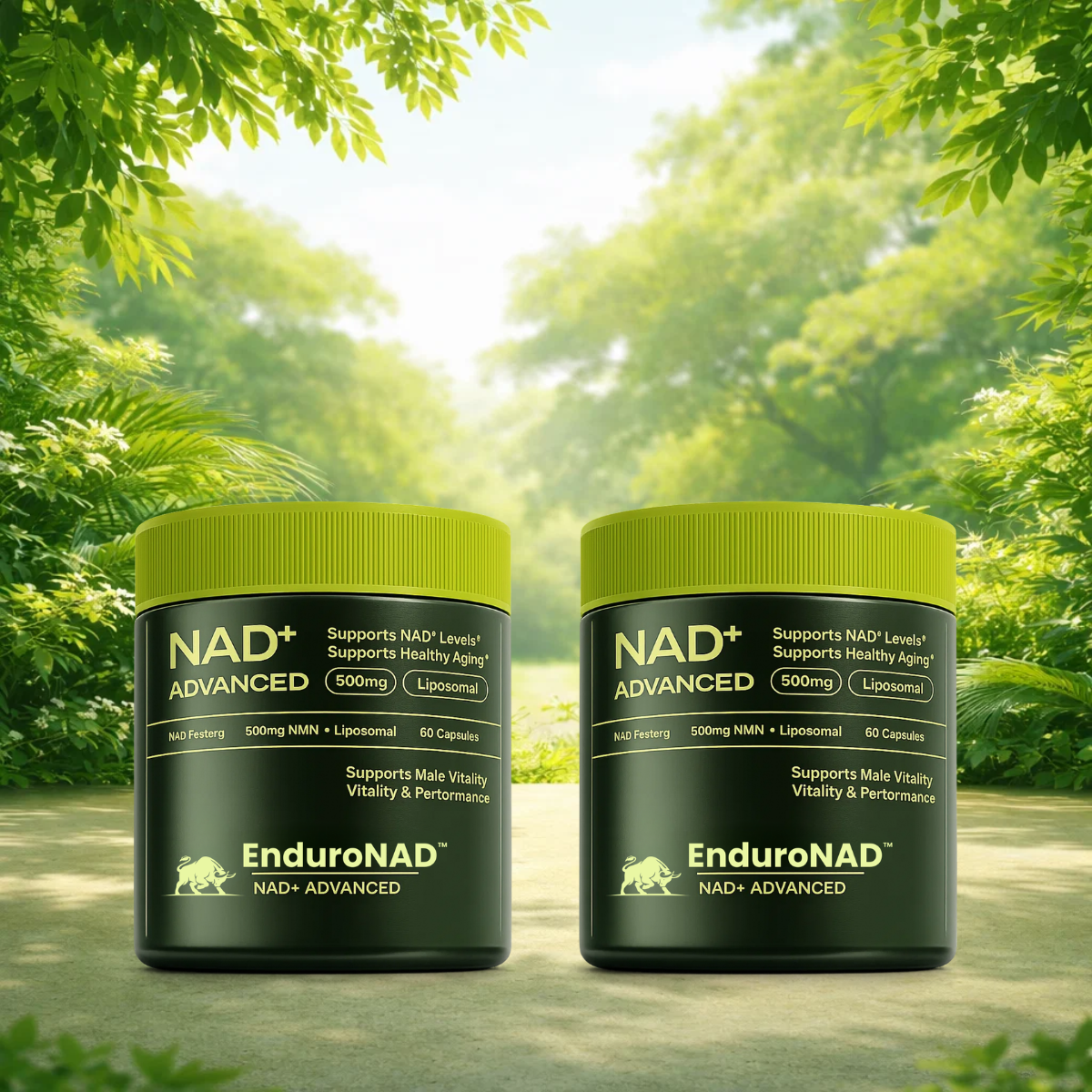 EnduroNAD WW