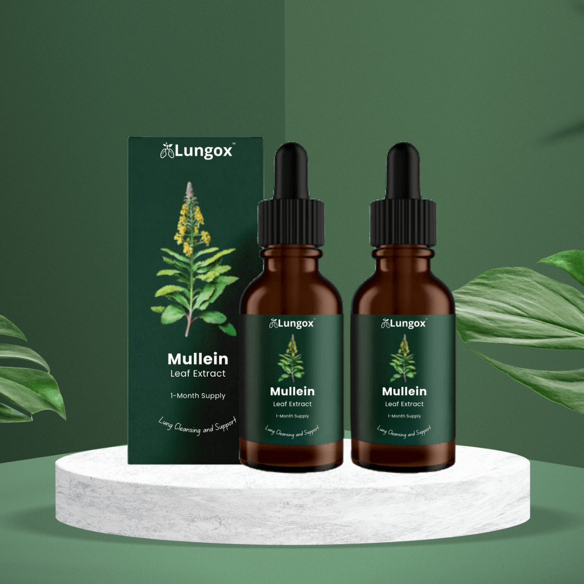 Lungox UK